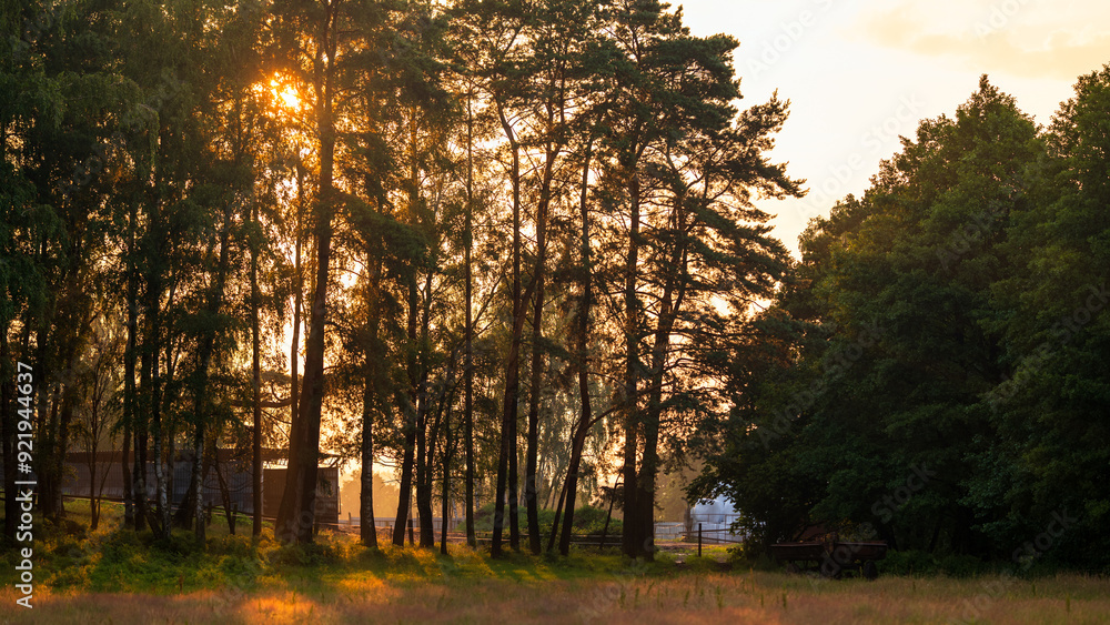 Beautiful rural landscape. The sun setting behind the trees. Meadow in the foreground. The sky lit up after the storm