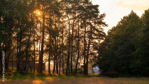 Obraz na płótnie Beautiful rural landscape. The sun setting behind the trees. Meadow in the foreground. The sky lit up after the storm w salonie