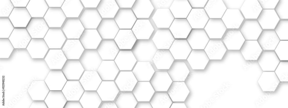Abstract white hexagonal geometric background with shadow. Luxury white 3D futuristic honeycomb mosaic white background. Abstract white lines background. Vector Illustration. Abstract white hexagonal geometric background with shadow. Luxury white 3D futuristic honeycomb mosaic white background. Abstract white lines background. Vector Illustration.