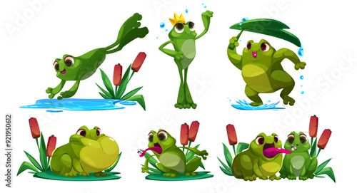 Cute frog cartoon character mascot in different poses - green pond animal toad jump into water, stand with crown, cover head with leaf during rain, sit on grass and reed, catch insect with tongue.