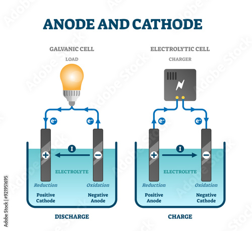 Anode and cathode scientific physics education diagram, illustration labeled scheme, transparent background. Circuit examples with positive and negative oxidation and reduction.