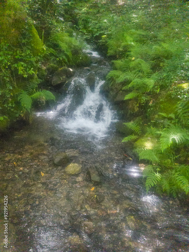 kleiner Wasserfall in grüner Landchaft, sprudelndes Wasser, no people