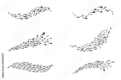 Dynamic Black flock of swimming fish