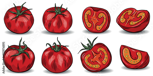 Vector illustration of red tomatoes whole and sliced in line drawing style perfect for food design and culinary projects, colorful tomato sketches for kitchen decor and restaurant menus