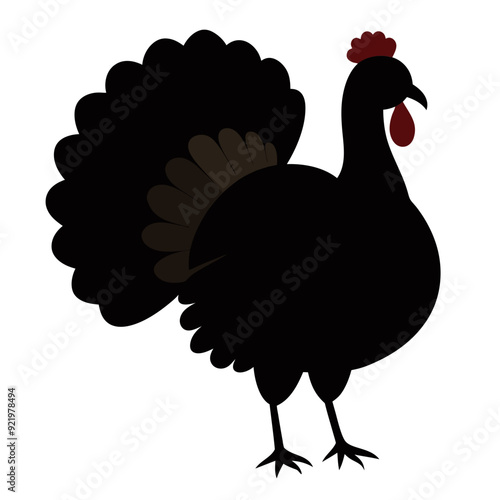 turkey chicken