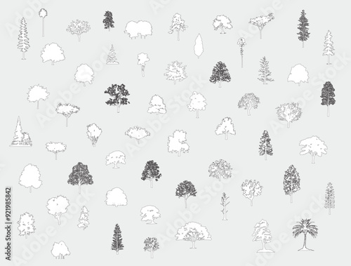 Minimal style cad tree line drawing, Side view, set of graphics trees elements outline symbol for architecture and landscape design drawing. Vector illustration in stroke fill in white. Tropical, oak