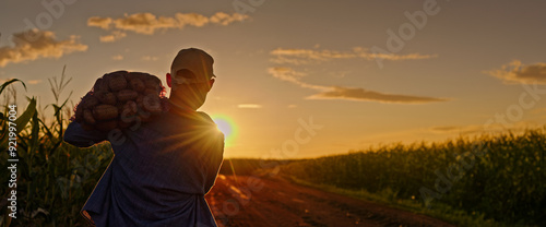 Slika na platnu Farmer carrying a sack of potatoes on his shoulder walks down a dirt road at sunset, surrounded by cornfields