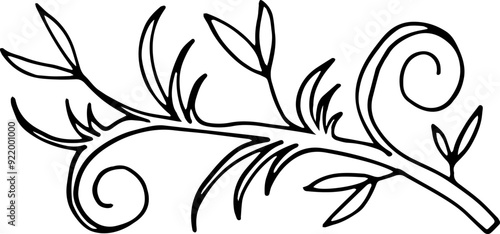 	
Decorative elements of curls with leaves. Vector illustration. Hand drawing.