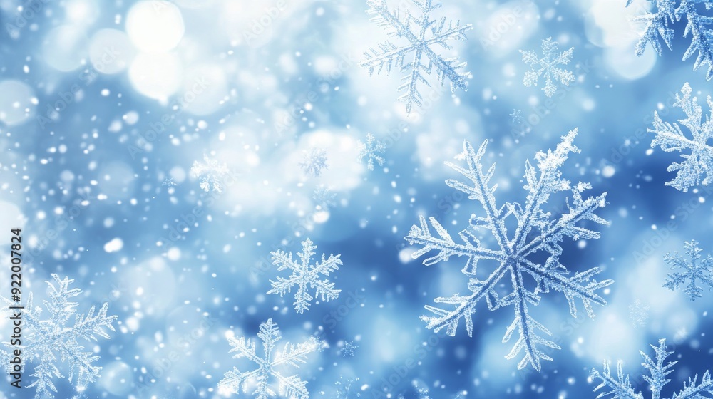 Beautiful snowflakes falling on a blue winter background Beautiful snowflakes falling on a blue winter background