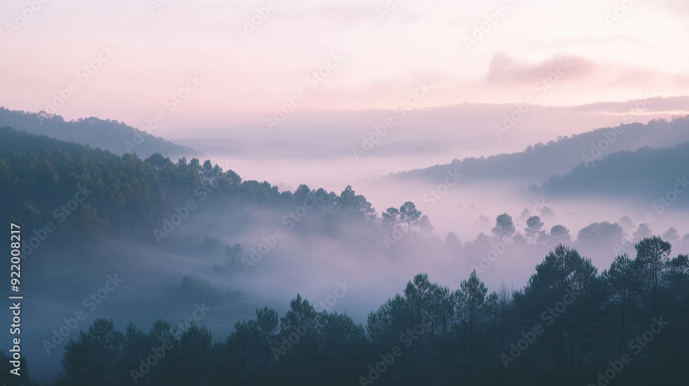 Fototapeta premium Purple mist filling the valley surrounded by forest at sunrise