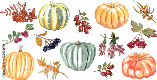 Vector autumn set of pumpkins and rose hips viburnum rowan sea buckthorn cranberries, isolated on white background, watercolor illustration, for card invitation design