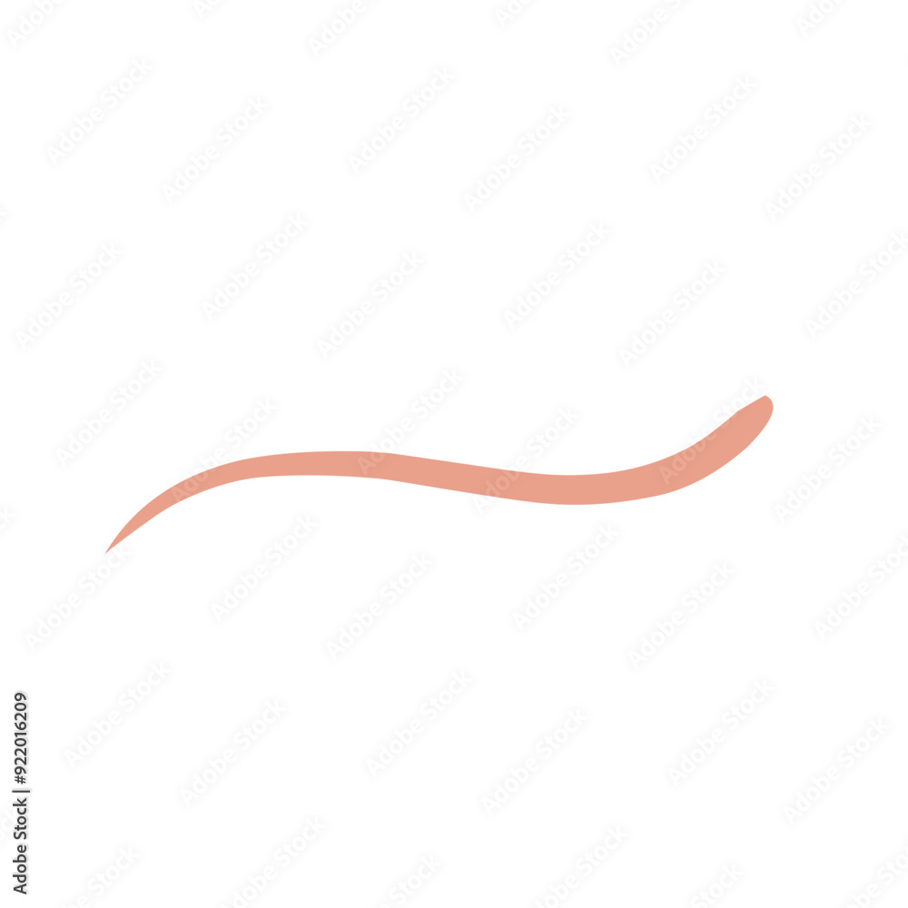 Hand drawn doodle elements for concept design isolated on white background. vector illustration. Hand drawn doodle elements for concept design isolated on white background. vector illustration.