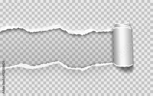 Realistic torn paper edges with rolled edge and shadows. Vector illustration.