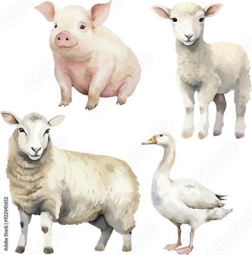 Vector Watercolor farm, composition, rural, country live, rustic, domestic animals, livestock, lamb, pig, sheep, goose, illustrations for farm set, invitation, greeting cards, birthday, event, holiday