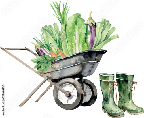 Vector Watercolor farm, clipart, vegetables, composition, garden instruments, rural, country live, rustic, harvest, wheelbarrow, cart, trolley, rubber boots, illustrations for farm set, invitation, gr