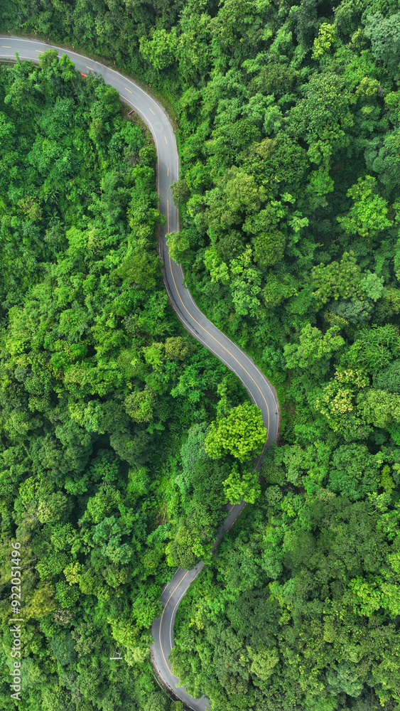 Aerial view of a road in the middle of the tropical rainforest , Ecosystem ecology healthy environment road trip travel. Aerial view of a road in the middle of the tropical rainforest , Ecosystem ecology healthy environment road trip travel.