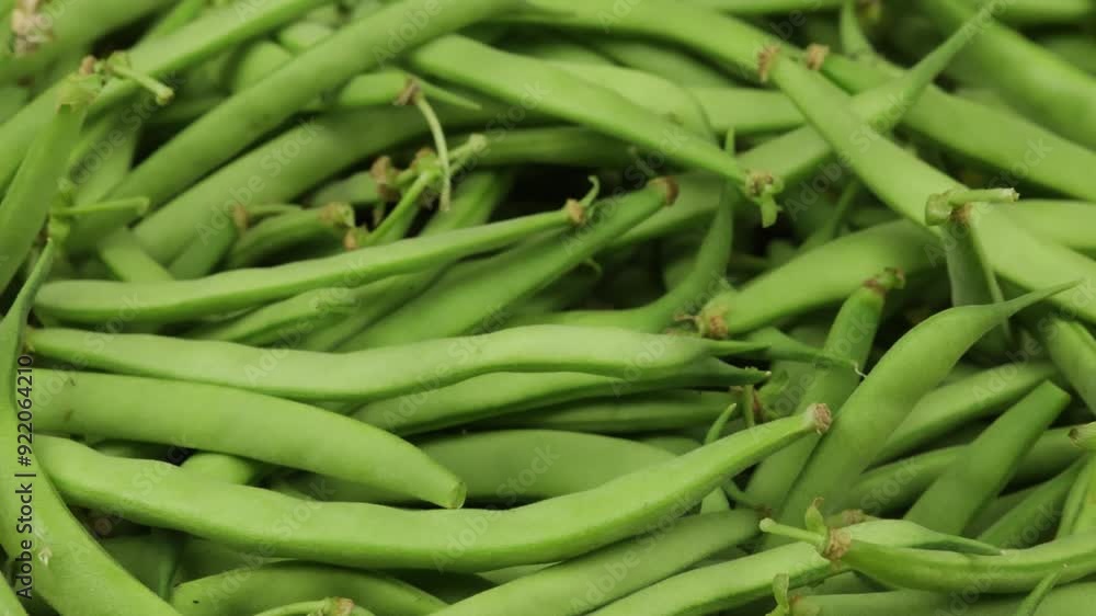 fond d'haricots verts crus, en gros plan fond d'haricots verts crus, en gros plan