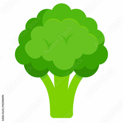 Fresh  Apollo broccoli isolated vector illustration 