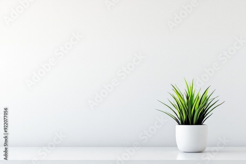 A minimalist workspace with a single, vibrant green plant against a white wall. 