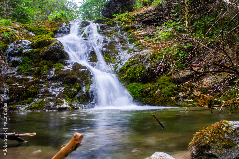 Fototapeta premium Waterfall in the forest. Mountain river in the forest. Beautiful waterfall in the forest.