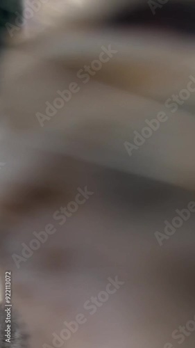 A tabby cat goes to a man to pet him