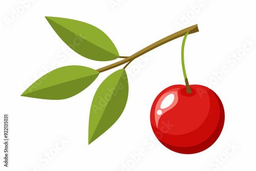 Cherry with leaf on white background. cherry on a branch