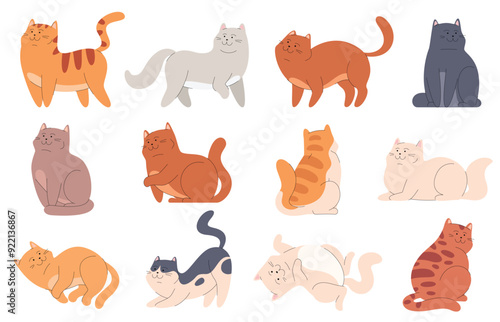 Set of cute cartoon cats. Beautiful pets in different poses. Fluffy playful pets. Vector illustration