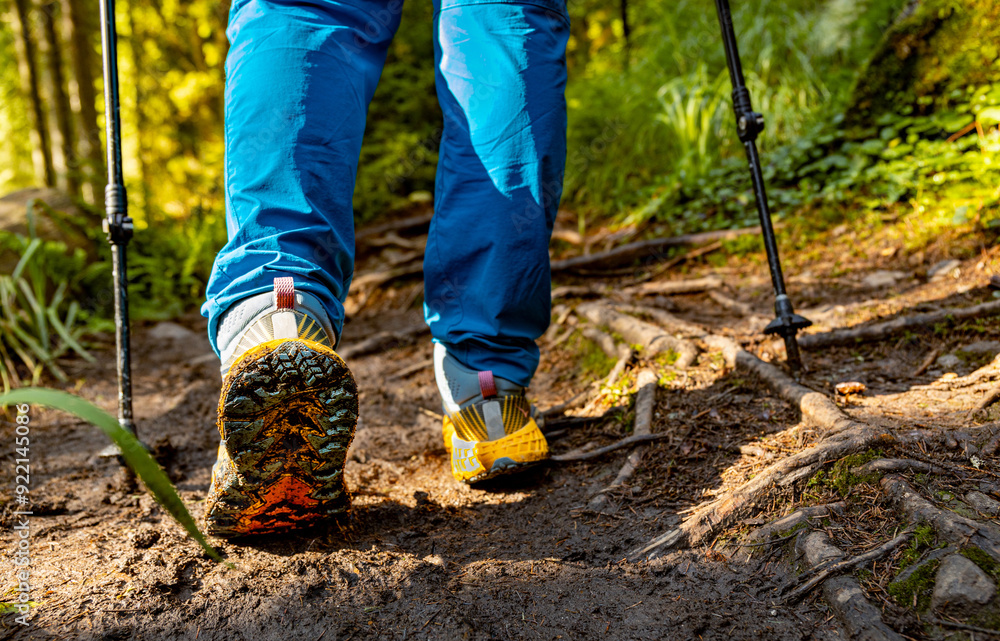 Hiking in the mountains with walking poles, beautiful views. Hiking in the mountains with walking poles, beautiful views.