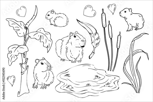 capybara cute animal doodle, Seth capybara on nature lake and reeds. Adult and baby capybara. Graphics, hand drawing, colorize animals.