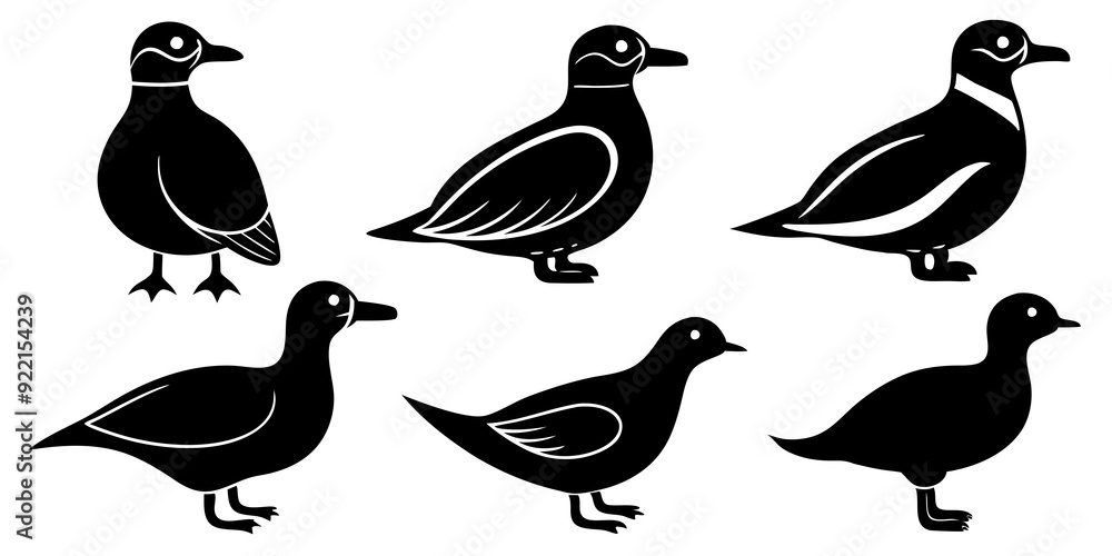 Set of Auklet icons silhouette vector art style illustration
Set of Auklet icons silhouette vector art style illustration