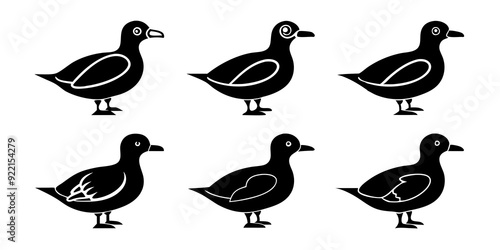 Set of Auklet icons silhouette vector art style illustration 