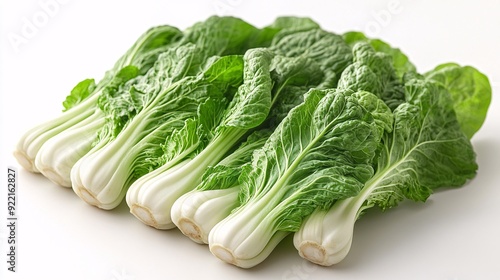 Baby pak choi against white backdrop 