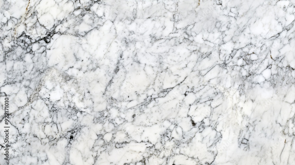 Elegant White Marble Texture Elegant White Marble Texture