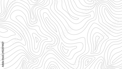 Contour background. Topographic map background. Topographic contour map background. Abstract wavy lines background. Background with topographic contours.