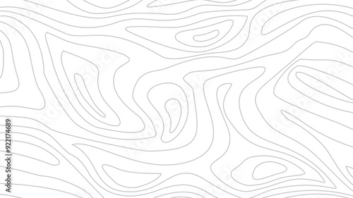 Contour background. Topographic map background. Topographic contour map background. Abstract wavy lines background. Background with topographic contours.