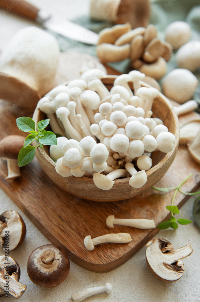 Assortment of various raw mushrooms on gray concrete background. Assortment of various raw mushrooms on gray concrete background.