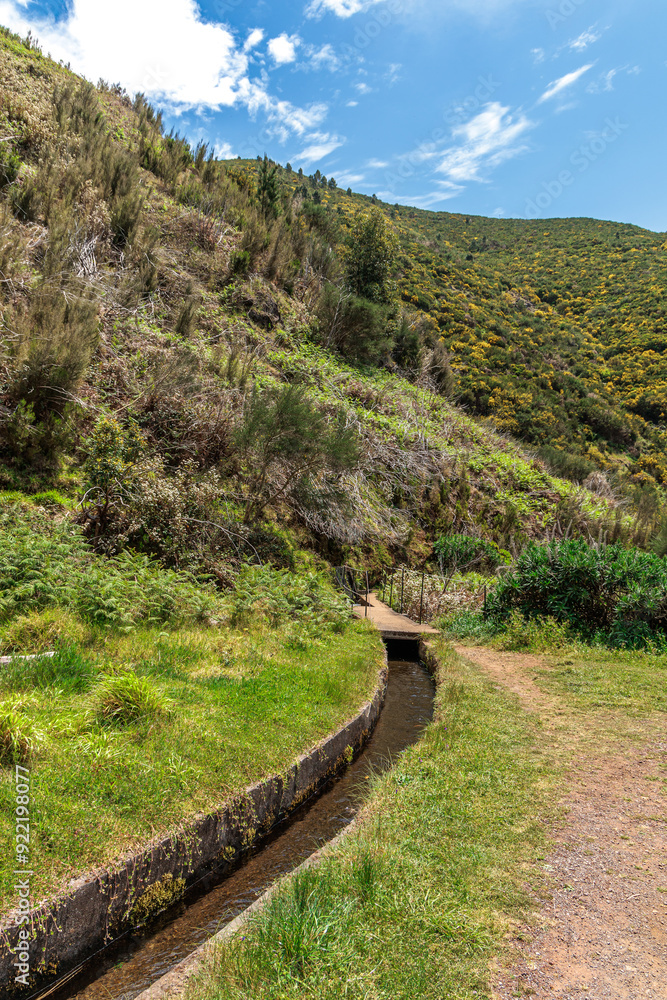 Vegetation and water distribution in the Levada 25 Fontes area of Madeira Island