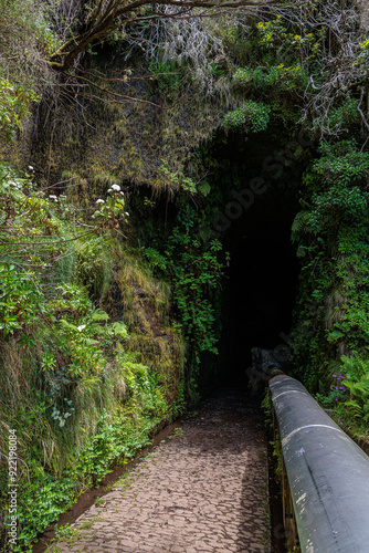 Obraz na płótnie Vegetation and water distribution in the Levada 25 Fontes area of Madeira Island w salonie