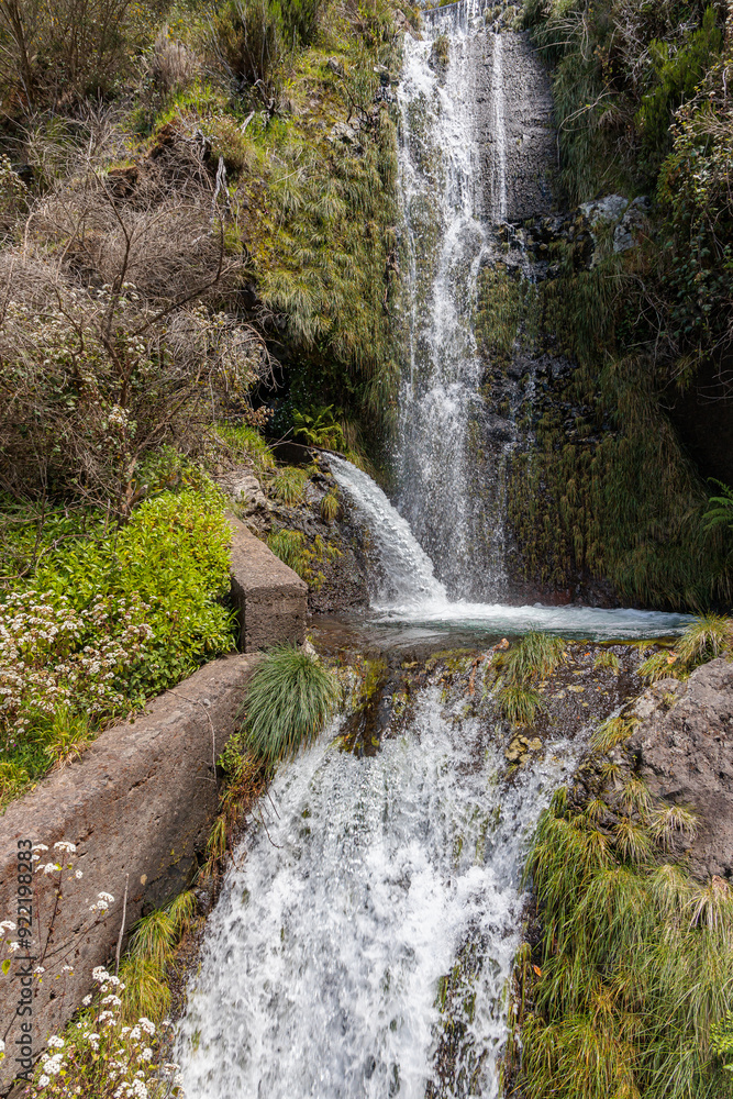 Vegetation and water distribution in the Levada 25 Fontes area of Madeira Island