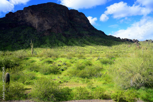 Sonora Desert Arizona Picacho Peak State Park photo