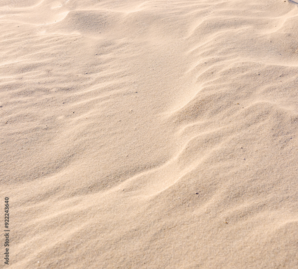 Sand, beach or texture for wallpaper with grain, nature or ripple from wind. Desert, background or shore on tropical island with ecosystem, environment care or clean for pollution awareness in mockup Sand, beach or texture for wallpaper with grain, nature or ripple from wind. Desert, background or shore on tropical island with ecosystem, environment care or clean for pollution awareness in mockup