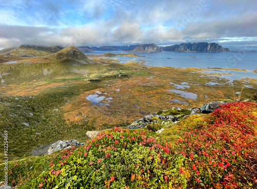scenic view on autumnal landscape in norway  with bright red foliage  and fjo...