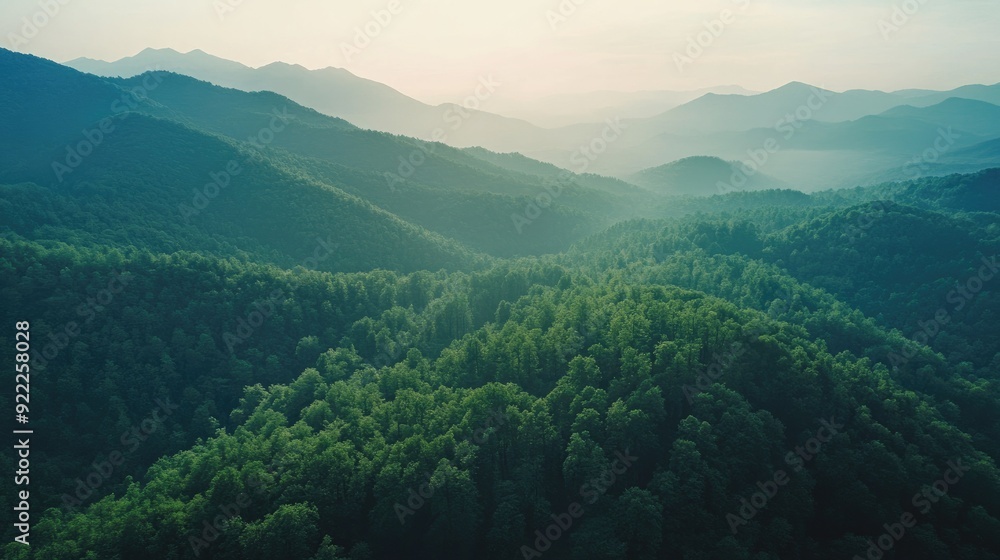 Aerial perspective of a mountain range with a dense forest, clear sky area for text Aerial perspective of a mountain range with a dense forest, clear sky area for text