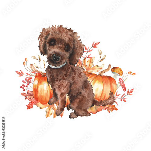 Watercolor toy puddle dog fall autumn illustration for paper print cards