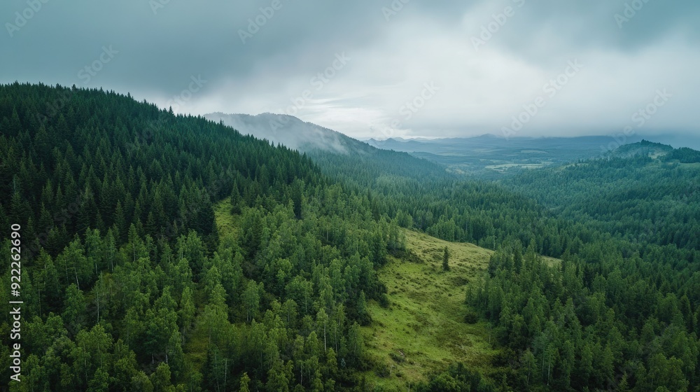 High-angle view of a forested mountain with a large sky area, ideal for adding a headline High-angle view of a forested mountain with a large sky area, ideal for adding a headline