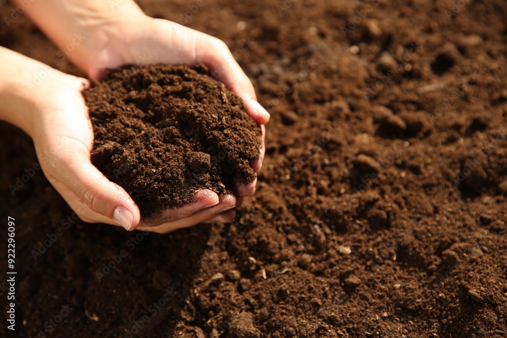 Woman holding pile of soil outdoors, closeup. Space for text Woman holding pile of soil outdoors, closeup. Space for text