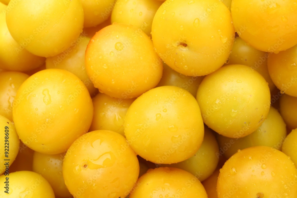 Many fresh plums with water drops as background, top view Many fresh plums with water drops as background, top view