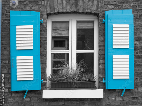 Fenster, mit blauen Klappläden