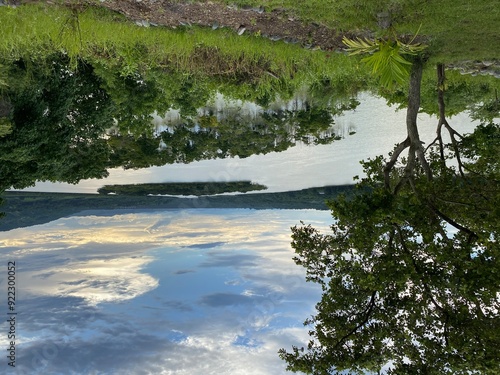 Mangrove trees that line the banks of a large, murky river provide a sanctuary for migratory birds.