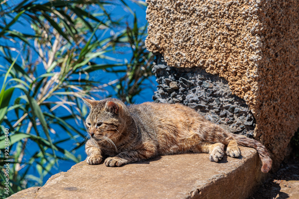 Nooks and crannies at Ponta do Pargo on the island of Madeira
